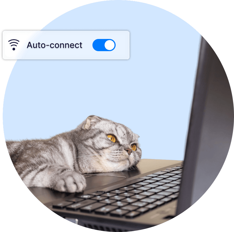 Connect Automatically at Startup